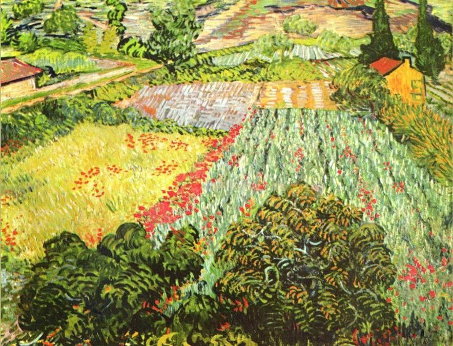 Vincent van Gogh Field of Poppies I